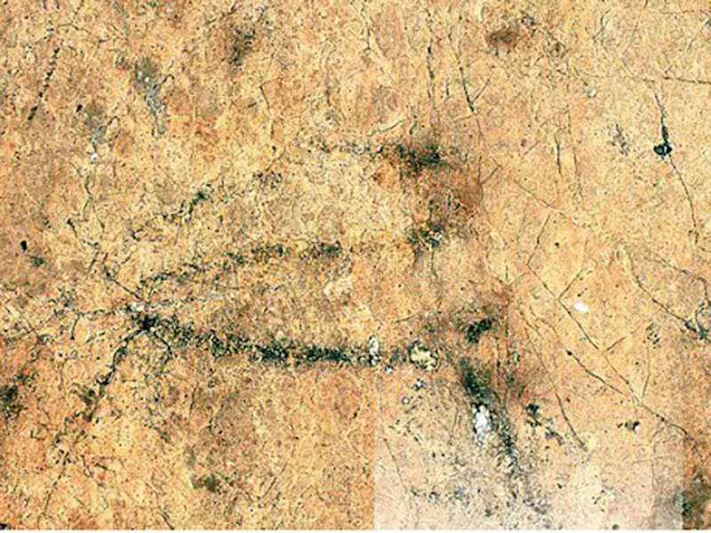 Scientists Discover Europe's Oldest Shoes: 6,000-Year-Old Sandals Woven from Grass - Cave art an Ibex in Cueva de los Murcielagos
